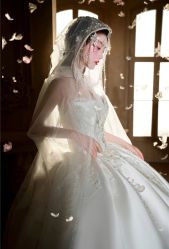 -金夫人婚纱摄影(总店)