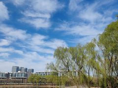 -大兴滨河森林公园