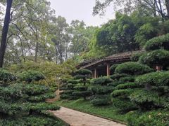 -南山植物园