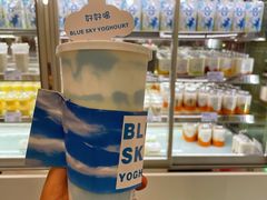 -白色日记·手作酸奶(麦凯乐店)