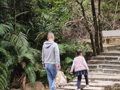 -广州白江湖森林公园