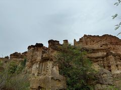 -元谋土林景区(物茂土林)