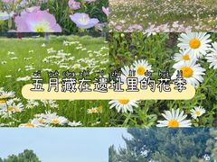 -汉长安城未央宫国家考古遗址公园