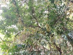 -白水带风景区体育公园