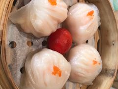 -有心德(麦地店)