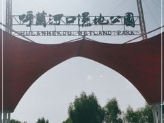 -呼兰河口湿地公园