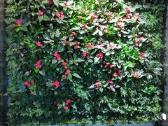 -招商银行(大连软件园支行)