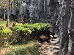 -五龙山野生动物王国