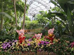 -北京植物园-展览温室