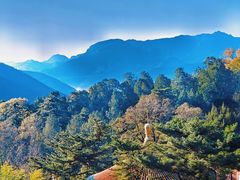 -潭柘寺景区