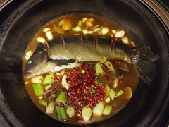 -姥家大锅台水库渔家