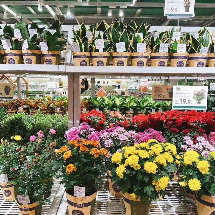 鹿岛园艺(朝天门来福士店)-"今天憋坏了,终于出门看看世面这家店在渝.