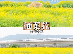 -白石龙音乐公园