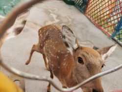 -萌宠亲子动物乐园(槐房万达店)