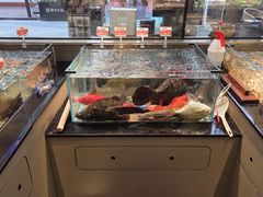-码头见·潮汕菜(领展中心城店)