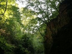-五女峰国家森林公园