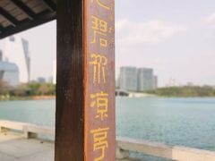 -桐乡凤凰湖