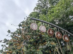 -中国科学院西双版纳热带植物园