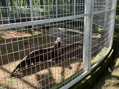 -秦皇岛野生动物园