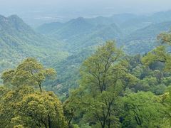 -青城山