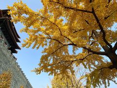 -东华门大街小区