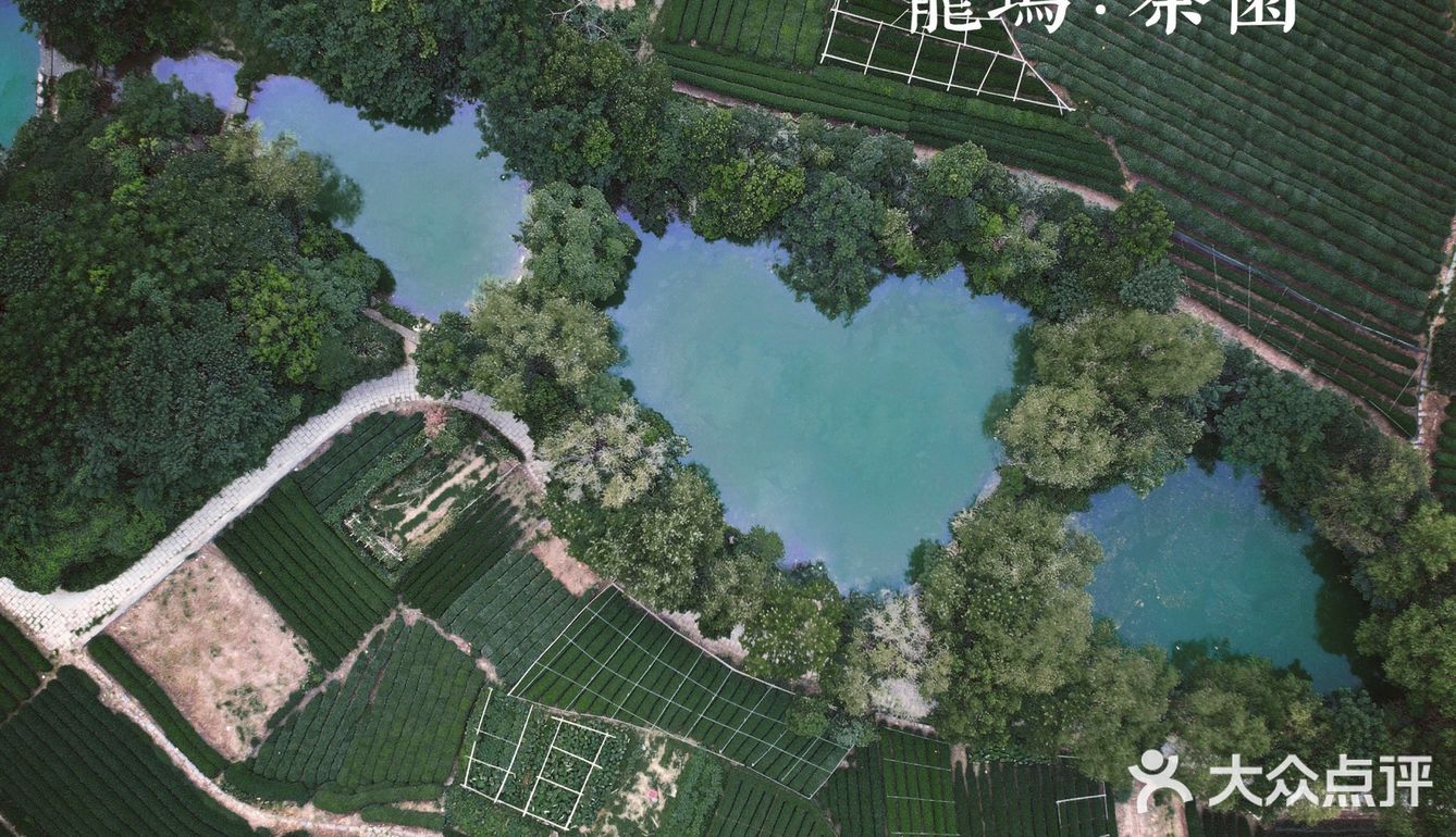 💚上海周边｜我发现了一颗心形水库｜杭州小众