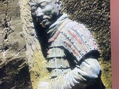 -秦始皇帝陵博物院(兵马俑)