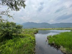 -腾冲北海湿地