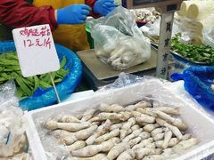 -陇南批发市场