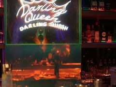 -Darling Queen·Mini·Live·House