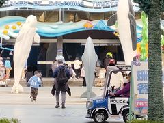 -海合安成都极地海洋公园