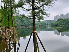 -重庆彩云湖湿地公园