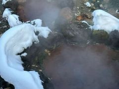 -中旅松花湖滑雪场