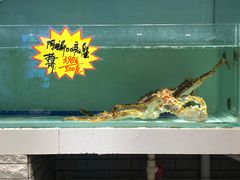 -万龙洲海鲜(大兴绿地缤纷城店)