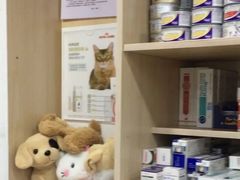 -哆趣宠物医院·眼科·内镜·急重症转诊中心(上海店)