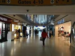 -约翰·菲茨杰拉德·肯尼迪国际机场