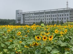 -南京信息职业技术学院