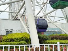 -琴岛之星摩天轮