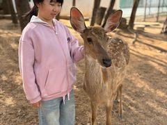 -观唐（国际）度假村温泉