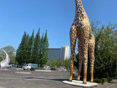 -西霞口神雕山野生动物世界