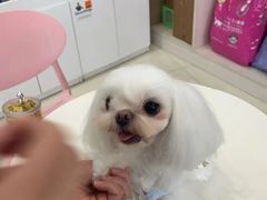 -乐琪宠物医院·犬猫专科·骨外科·急重症
