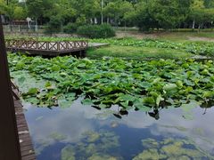 -美兰湖景区