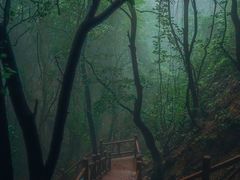 -大岭沟猕猴桃谷风景区