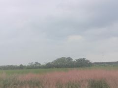 -小陆莲花蟹园农家乐(莲花岛店)