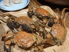 -蟹将军·松叶蟹和牛日料放题自助(K11店)