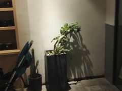 -莓超疯