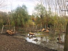 -溱湖国家湿地公园