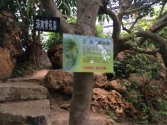 -南通洲际绿博园