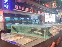 水产区-王庄阿咪海鲜大排档(象园店)