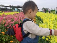 -保利石象湖景区